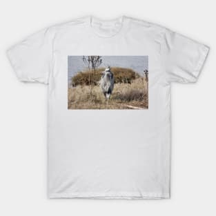 Great blue heron T-Shirt